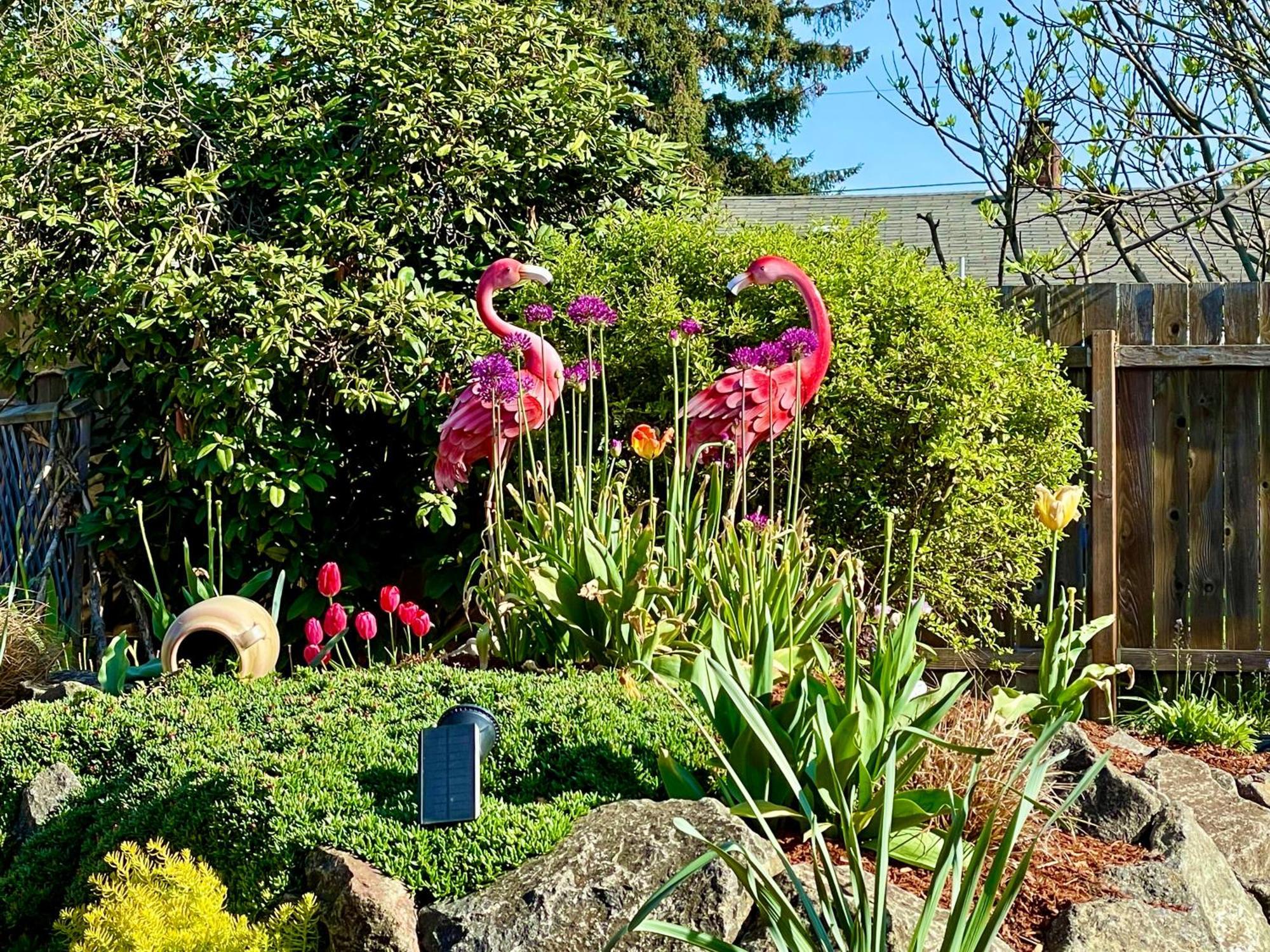 Colorful 50'S Ranch In The Heart Of Eugene Villa Luaran gambar